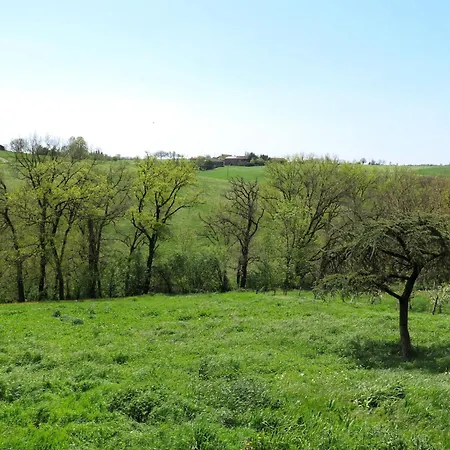 By Interhome Holiday home Lacapelle-Segalar